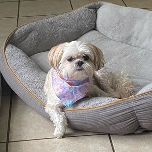 Meet your Posher, Tina